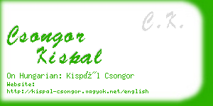 csongor kispal business card